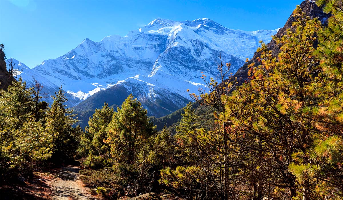 How Long is Annapurna Base Camp Trek