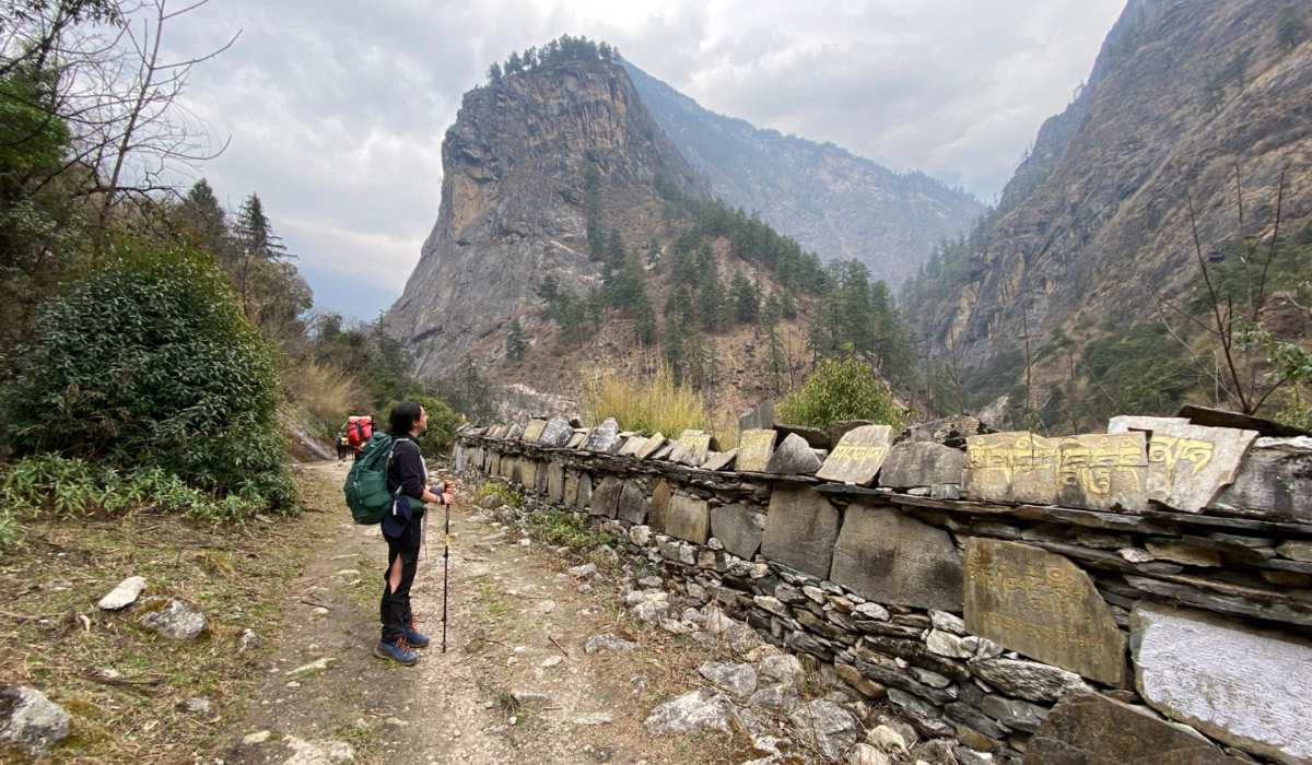 A trekker stands by a long Mani wall inscribed with Tibetan prayers overlooking a trail leading toward steep forested mountains