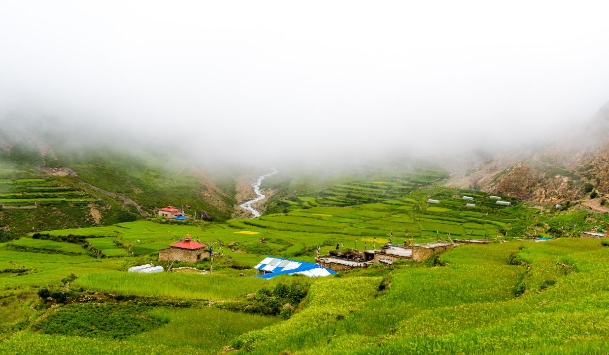 Green terraced fields in Nar village, Annapurna Area, Nepal