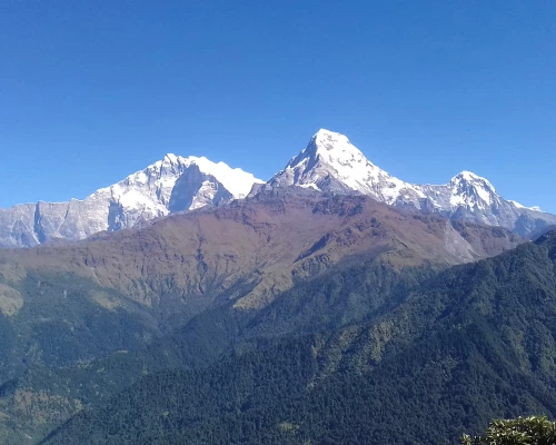 Annapurna Base Camp Trek 