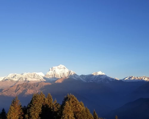 Ghorepani Poon Hill Trek