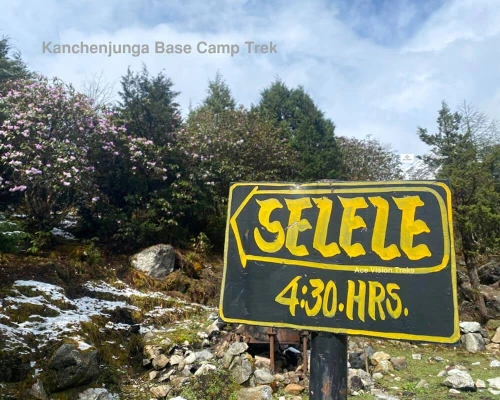Kanchenjunga Base Camp Trek 
