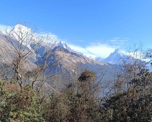 Khopra Danda Trek 