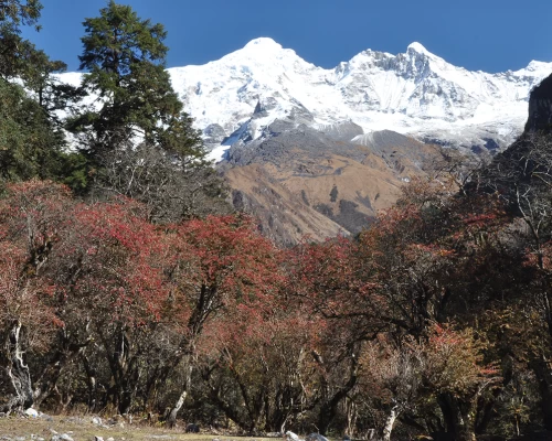 Manaslu Circuit Trek 