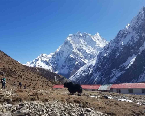 Short Manaslu Circuit Trek