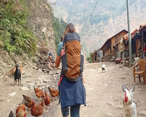 Tsum Valley Trek Cost 